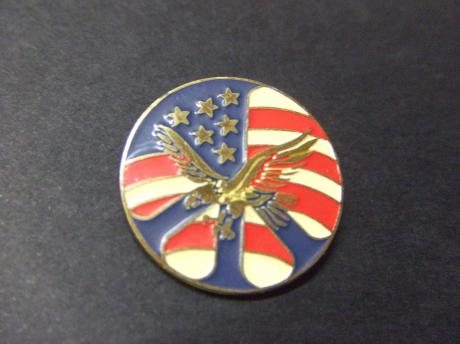 Vlag van Amerika Eagle , pin